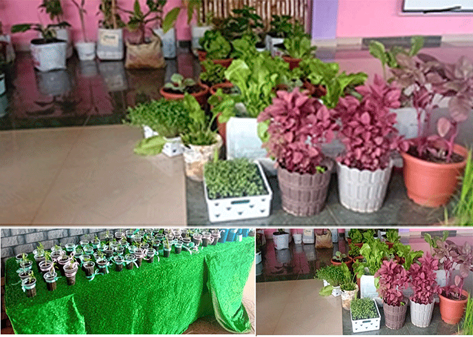 School-Holds-Agricultural-Exhibition