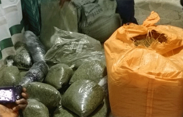 LDEA-Seizes-Over-US$800K-Worth-of-Kush