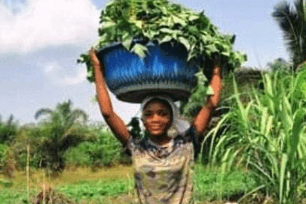 National-Land-Confab-In-Sight