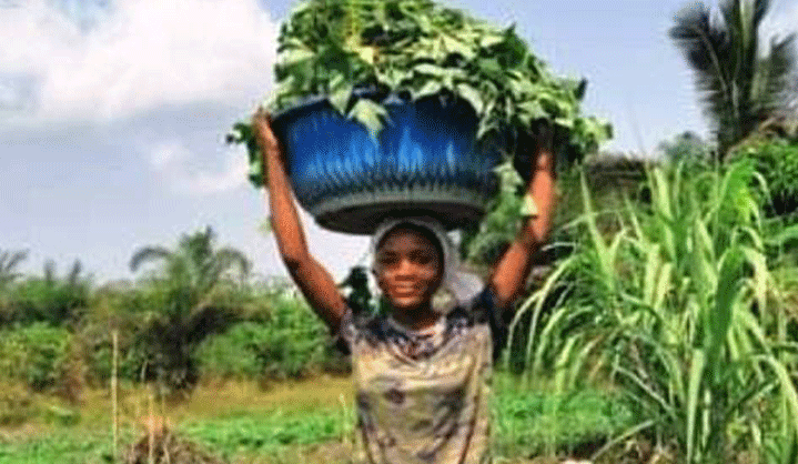 National-Land-Confab-In-Sight