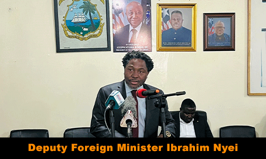 Bid-For-UN-Seat-Steady-Deputy-Foreign-Minister-Discloses