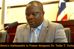 Amb.-Designate-Yorlay-Raps-On-Accessing-French-Development-Assistance