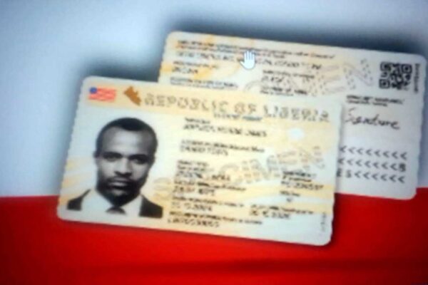 Prototype-Copies-of-E-Visa-and-Re-entry-Card