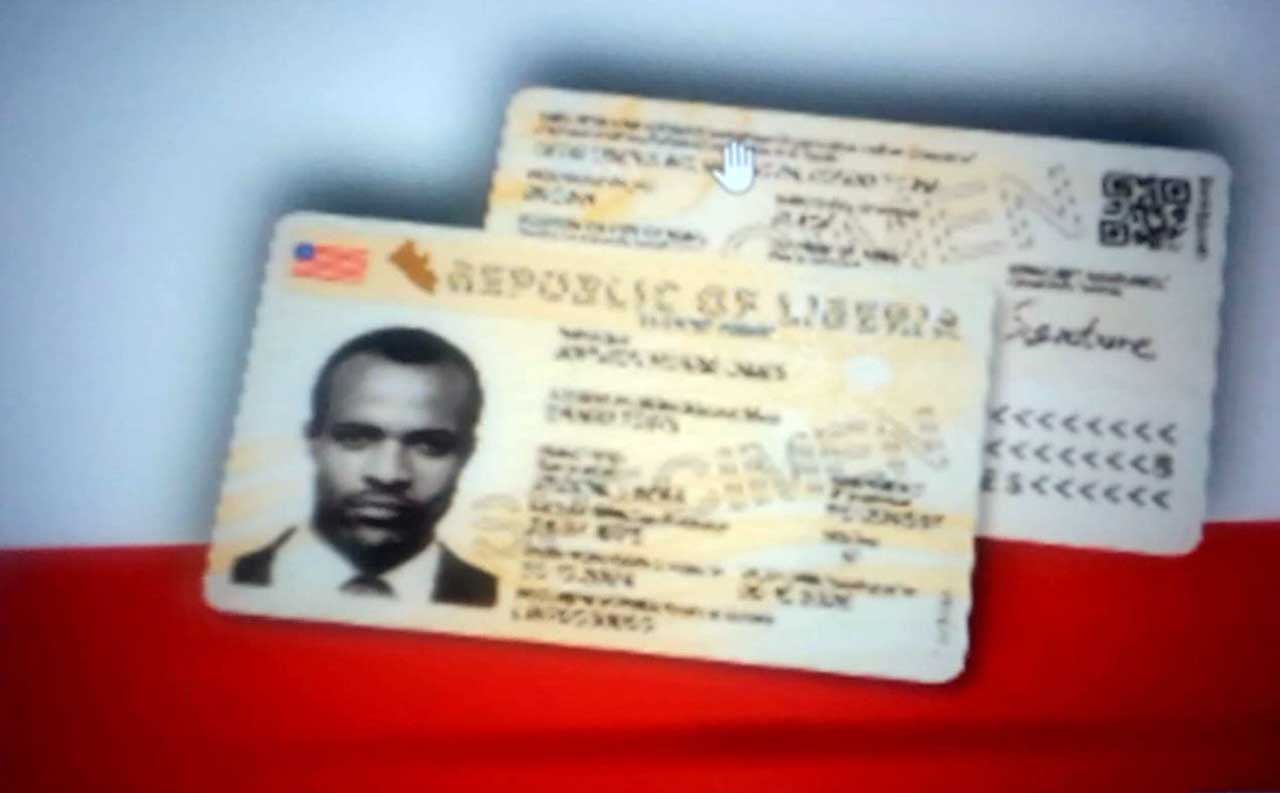 Prototype-Copies-of-E-Visa-and-Re-entry-Card