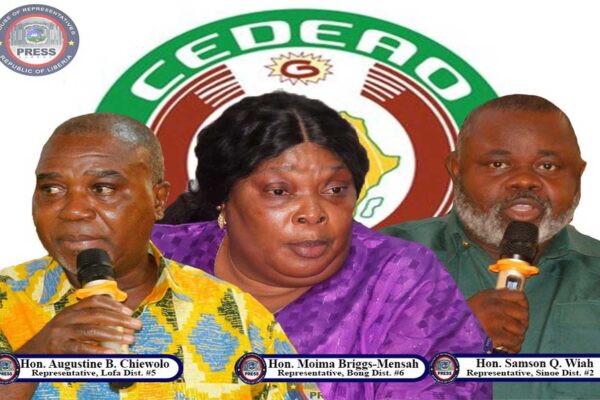 Newly-Elected-Representatives-at-the-ECOWAS-Parliament