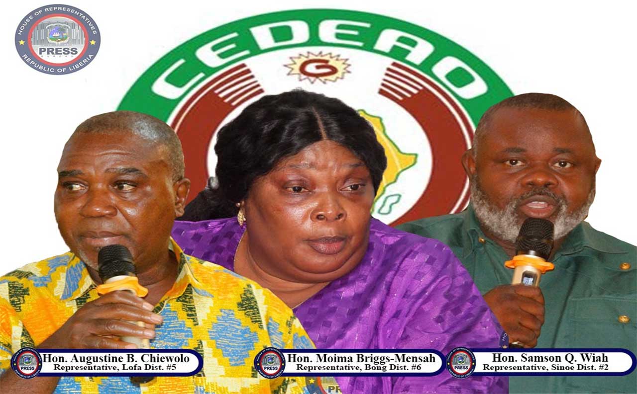 Newly-Elected-Representatives-at-the-ECOWAS-Parliament