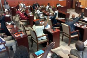 Liberian-Senate-in-Session