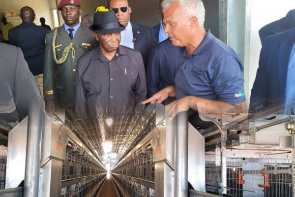 ‘From Egg Importer To Regional Exporter’ …US$26M Investment To Position Liberia In Poultry Industry Egg-Importer--To-Regional-Exporter-Liberia-is-getting-better