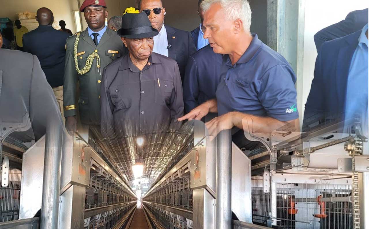 Egg-Importer--To-Regional-Exporter-Liberia-is-getting-better