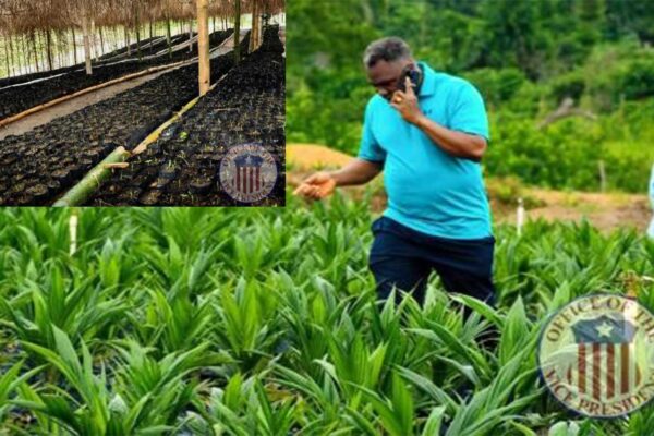 Liberias-Vice-President,-Jeremiah-Kpan-Koung-Echoes-Agriculture-s-Role-In-ARREST-Agenda
