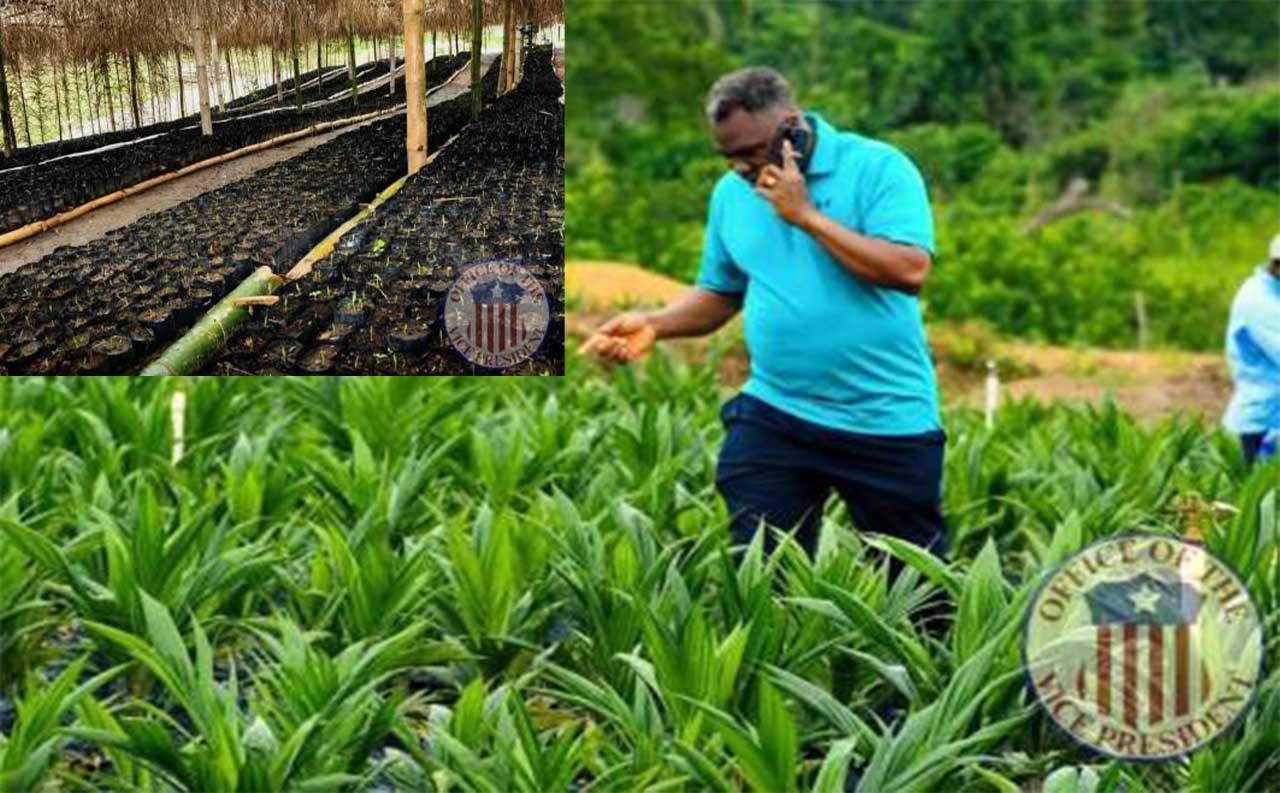 Liberias-Vice-President,-Jeremiah-Kpan-Koung-Echoes-Agriculture-s-Role-In-ARREST-Agenda