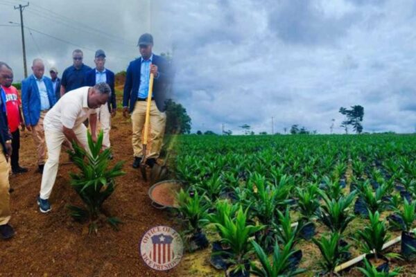 Liberia’s-Vice-President,-Jeremiah-Kpan-Koung-and-agriculture