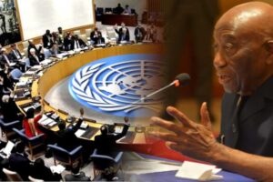 UN-Security-Council-Seat