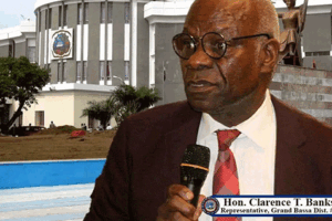 House-of-Representatives--HOR-Decentralizing-Budgetary-Allocation