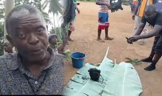 Sassywood-Ban-Violated-traditional-authorities-in-River-Cess