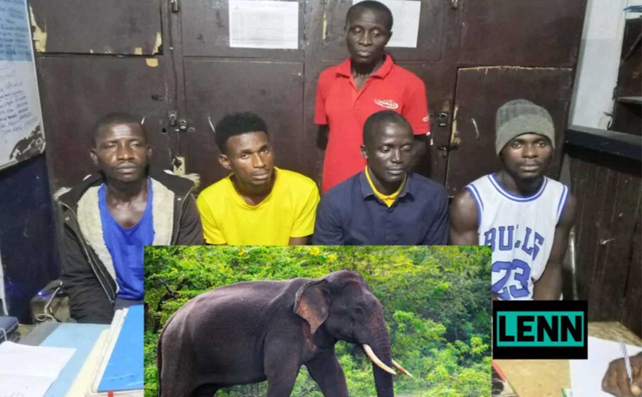 Five-of-Eight-Men-Detained-For-Killing-Elephant-in-Liberia