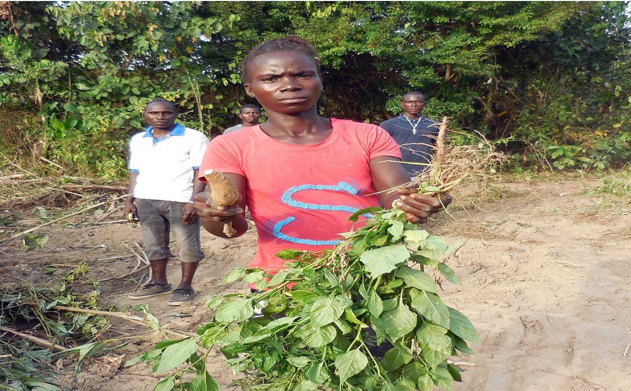 victim-of-SRC-Farm-Demolition