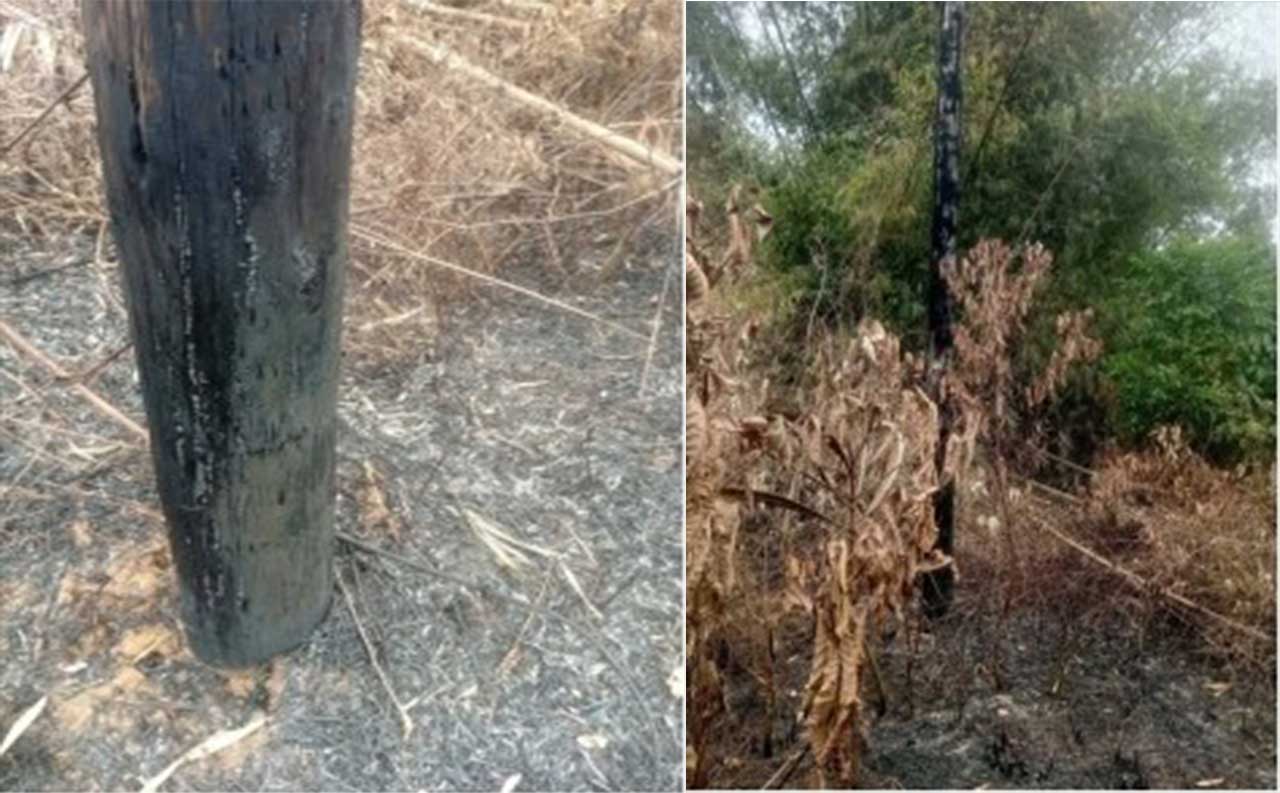 LEC-Alarms-Over-Rising-Damage-to-Electrical-Infrastructure