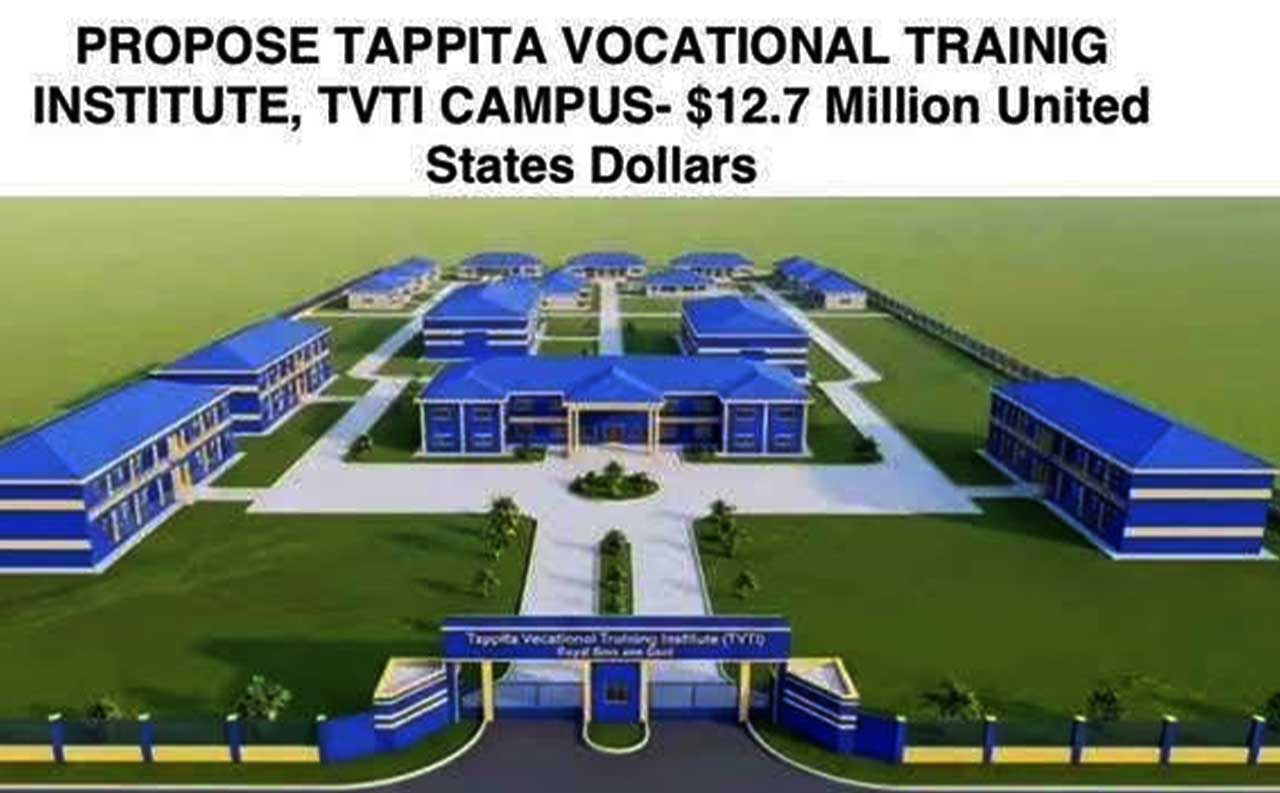 VP-Koung-Breaks-Ground-For-US$12.7M-TVTI-Project-In-Nimba
