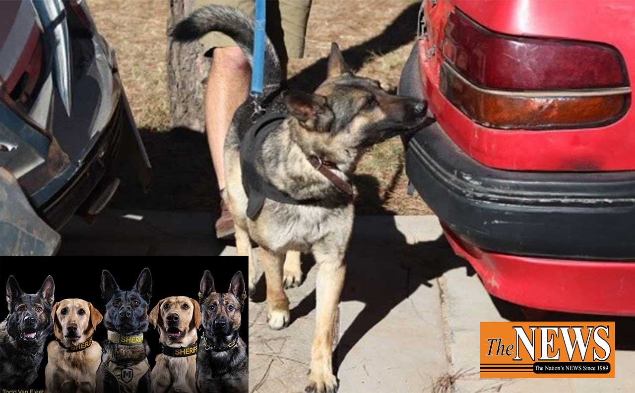 LDEA-To-Unleash-K9-Dogs-In-War-On-Drugs